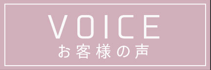 VOICE